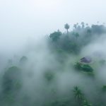 Kabut pagi menyelimuti Pegunungan Arfak di Papua Barat dengan latar belakang hutan tropis yang lebat